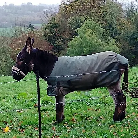 Daire Barn Retreat With Mountain Views *