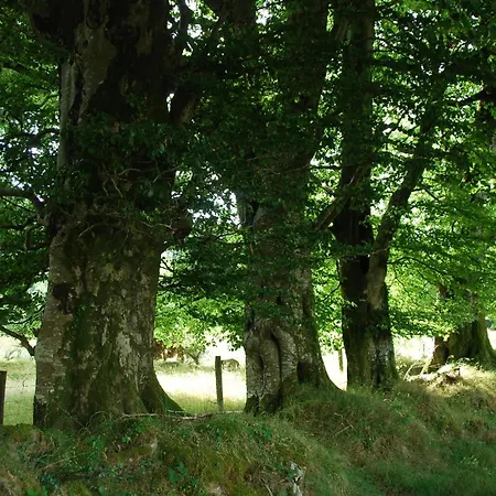 Daire Barn Retreat With Mountain Views