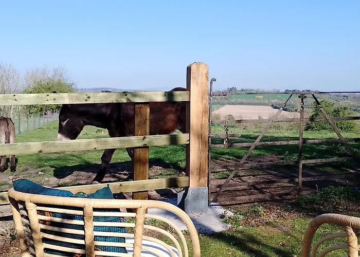 Barn Retreat With Mountain Views