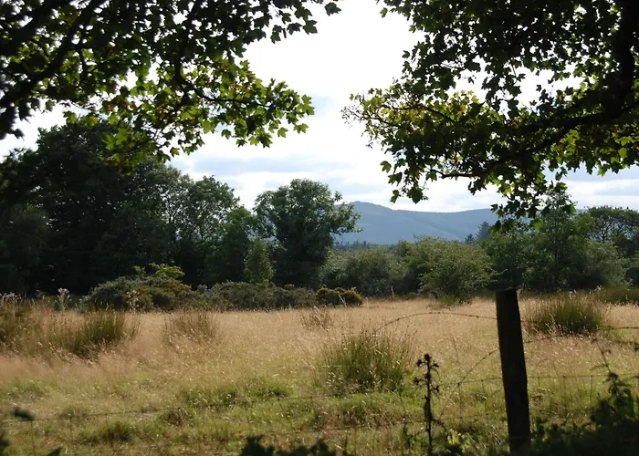 Apartman Barn Retreat With Mountain Views Athy