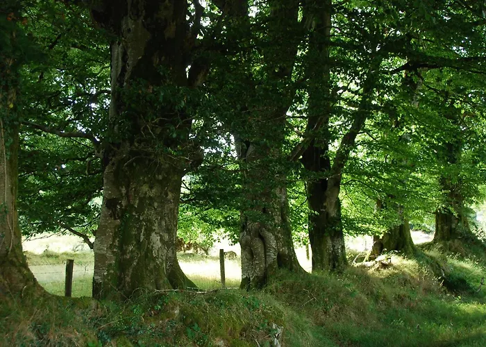 Apartman Barn Retreat With Mountain Views
